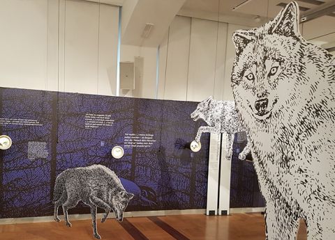 Ausstellung Käthe Recheis, Linz